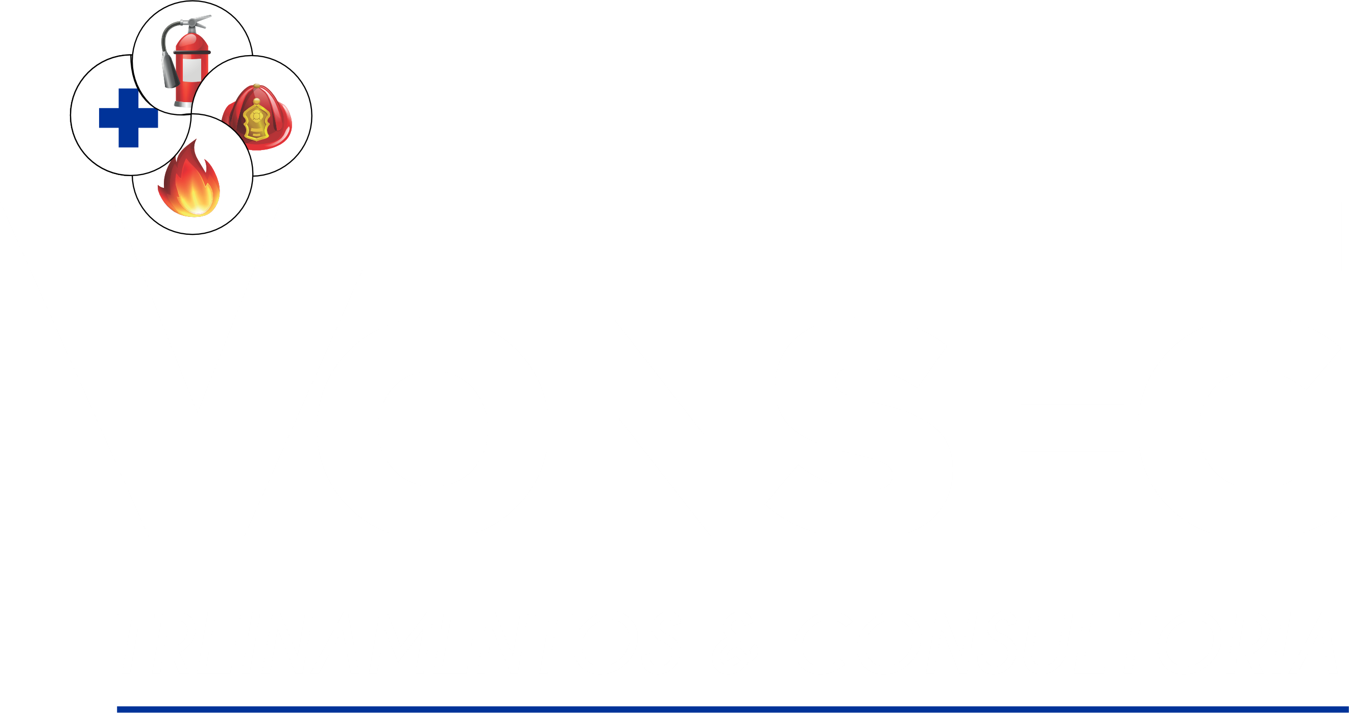 Grupo Vonseg